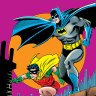 The Batman Professor