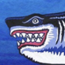 Reefer Shark