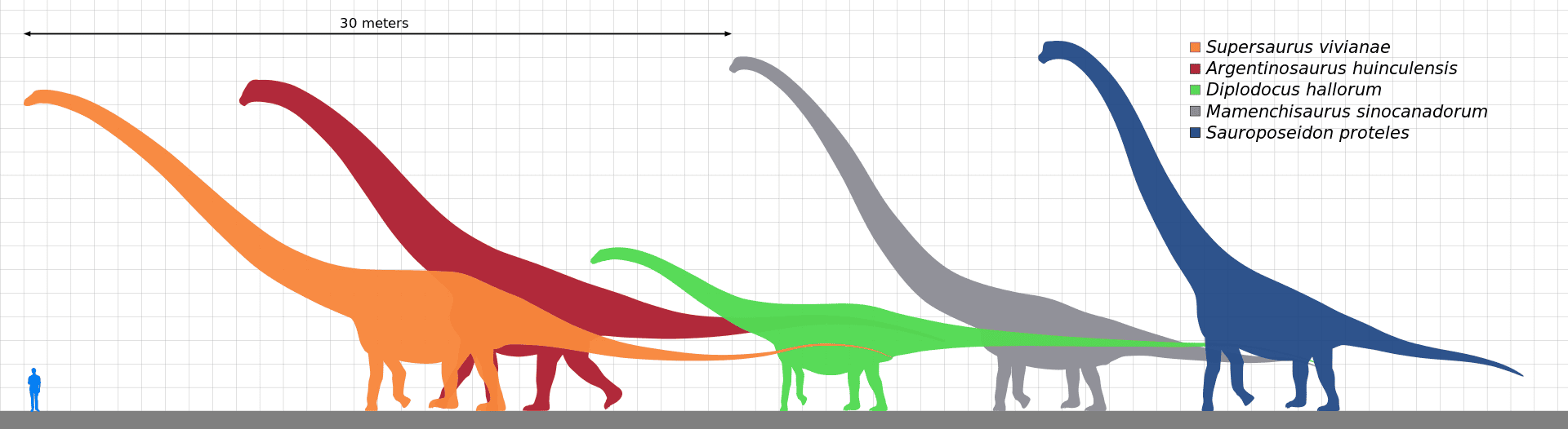 Longest_dinosaurs2.svg.png