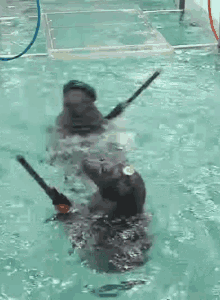 cana-seal.gif