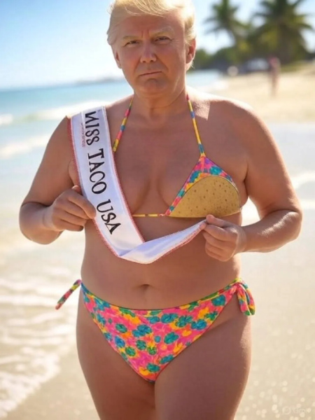 13_miss_taco_usa.jpg