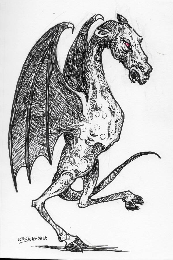 illustration-of-a-jersey-devil.jpg