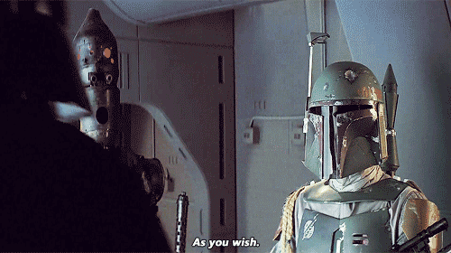 tumblr_m6q3ryuF5U1qh402go2_500.gifv
