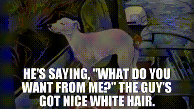 9562844e-6c37-4eda-95a7-aaa23687bb29_text.gif