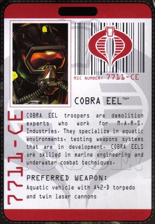 eel6.jpg
