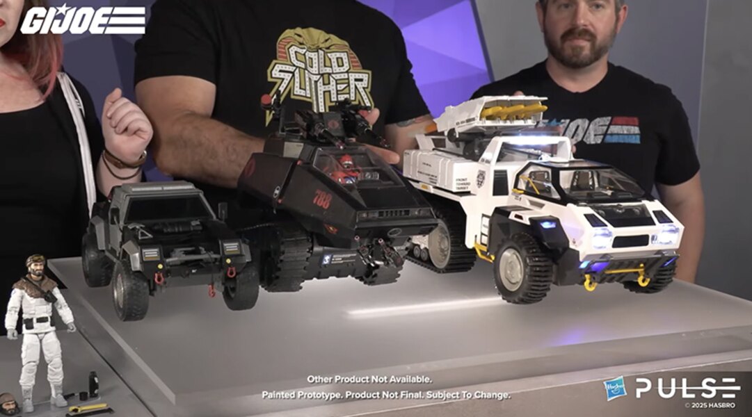 Cat-58__scaled_600.jpg