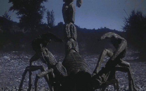 tumblr_m721iyEMIn1qdezf9o1_500.gifv