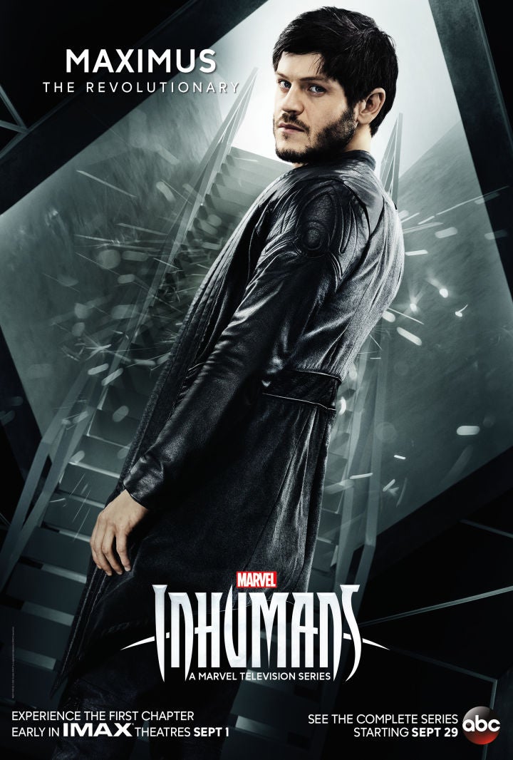 MIH_Maximus_Domestic-720x1066.jpg