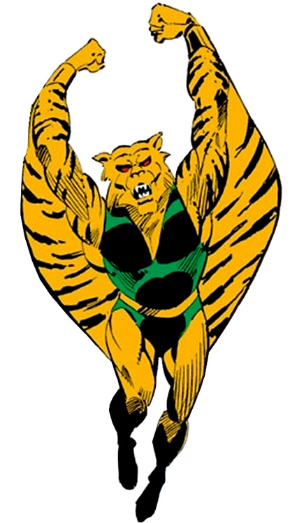 5024972-flying%20tiger.jpg