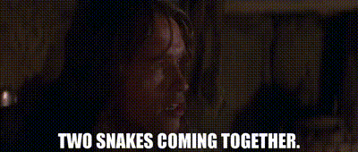 bfd3ff3d-b6a1-45c4-a4db-80384f138b8b_text.gif