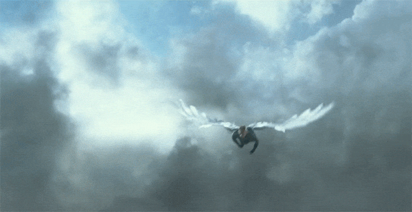 X13.gif