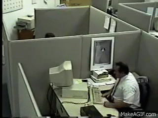 bhzyq1.gif