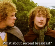 peregrin-took-second-breakfast.gif