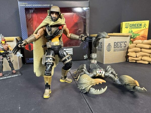 toynewsi.com